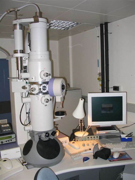 An electron microscope